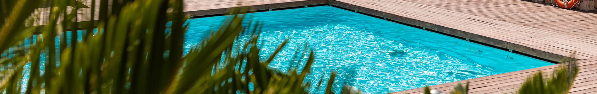 Piscine avant plantes